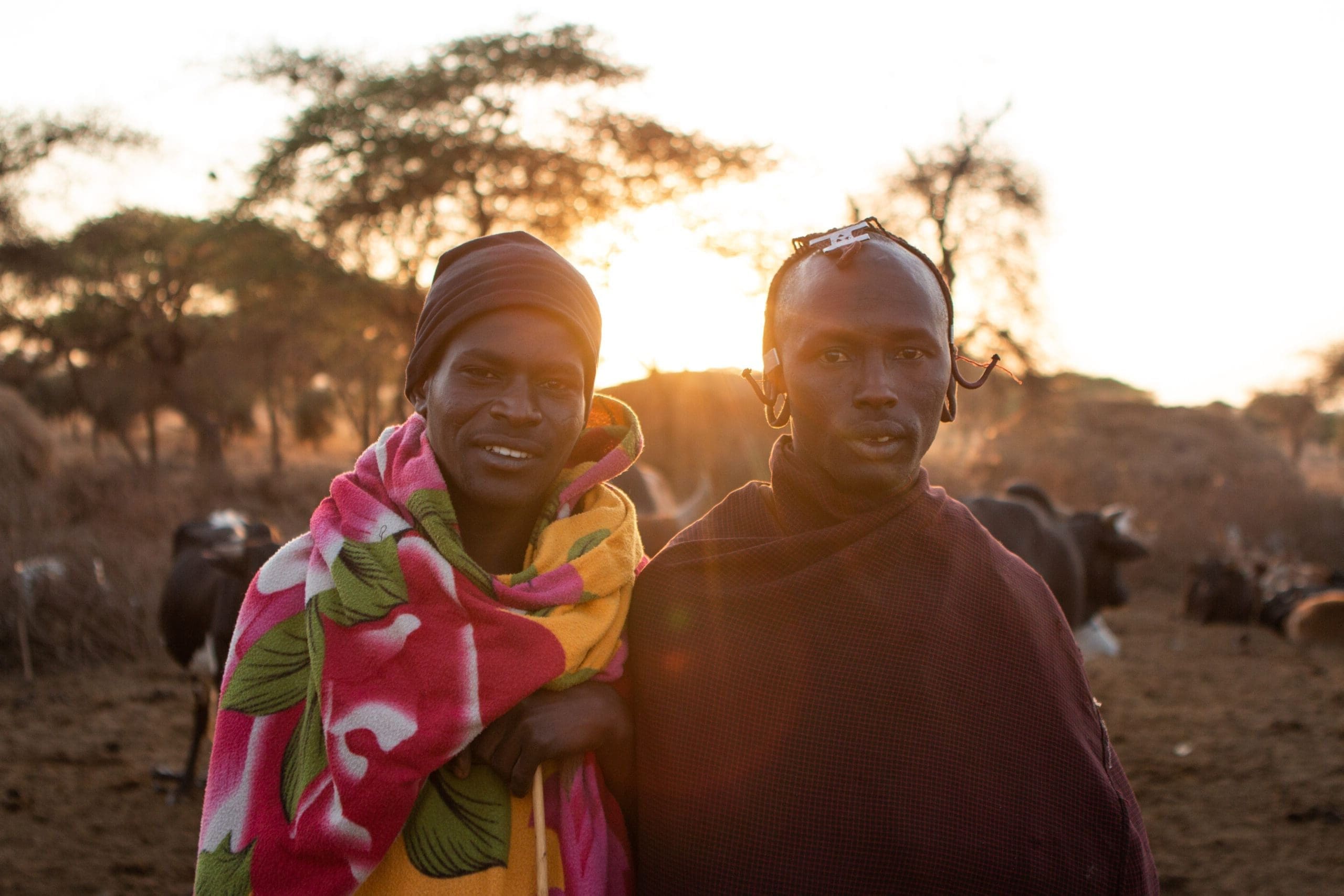 Twee in kleurrijke dekens gewikkelde mensen staan dicht bij elkaar buiten bij zonsopgang of zonsondergang op het platteland van Tanzania, met vee en bomen op de achtergrond - een warm tafereel dat de geest van het reizen door Afrika weergeeft.