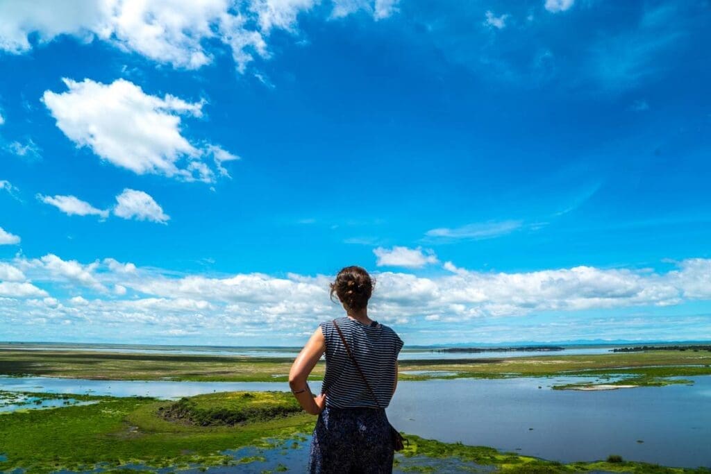 A person with short hair, wearing a striped shirt, stands facing a wide landscape of water, grassy patches, and a bright blue sky with scattered clouds.