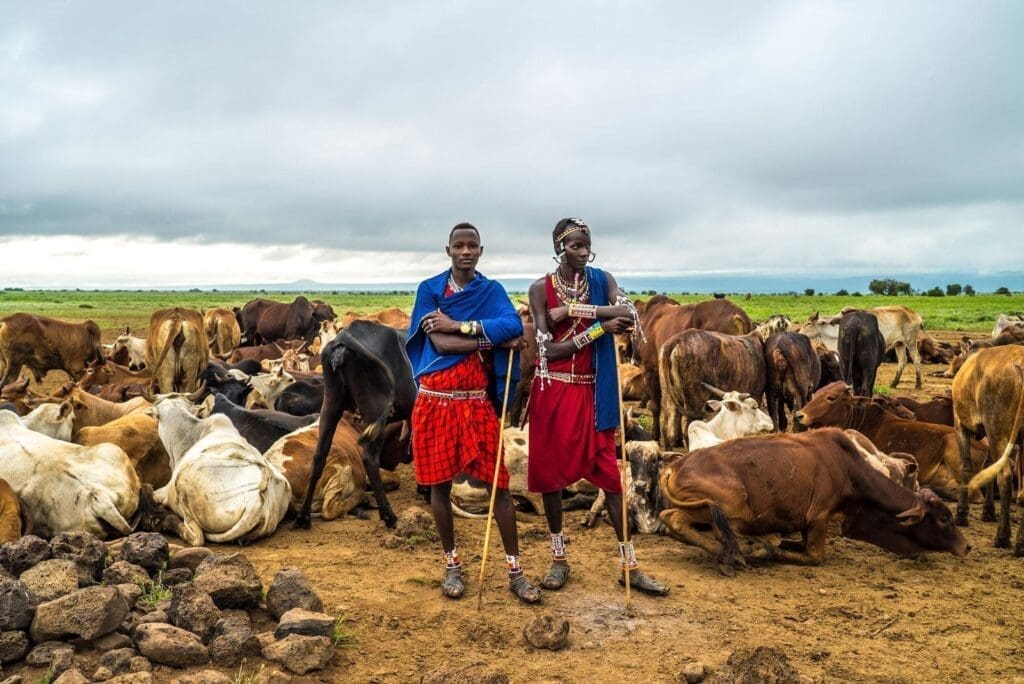 Two people in traditional Maasai attire stand with staffs among a large herd of cattle on a grassy plain in rural Kenya, under a cloudy sky. Rocks and grazing cows surround them, capturing the spirit of travelling across Africa’s scenic landscapes.
