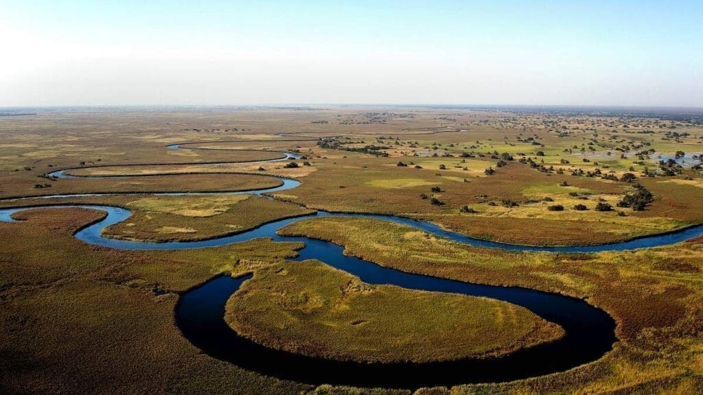 A winding river snakes through Botswana’s vast, flat grasslands dotted with trees under a clear blue sky, creating sweeping curves and reflecting the sunlight—a breathtaking scene for anyone travelling in Africa.