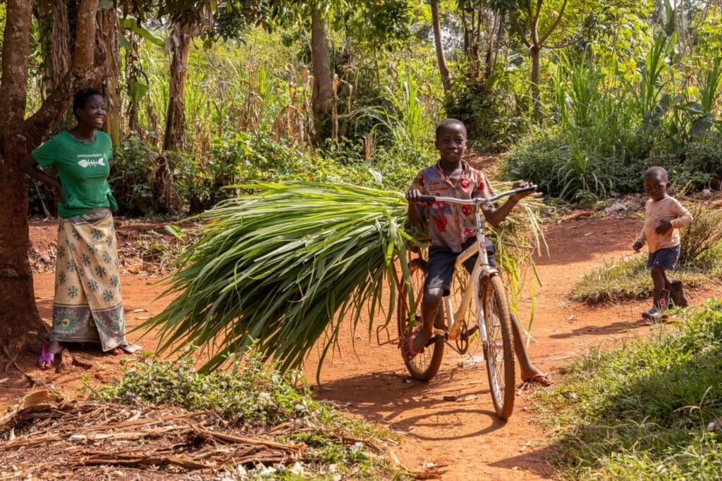 Ein Junge schiebt ein Fahrrad, das mit großem grünen Gras beladen ist, einen Feldweg entlang, während eine Frau unter einem Baum steht und ein kleines Kind in der Nähe steht. Üppiges Grün umgibt sie an einem sonnigen Tag.