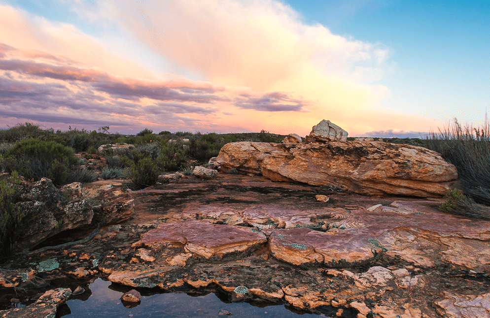 Rotspartij met verspreide struiken onder een dramatische zonsondergang met roze en oranje wolken. Lage vegetatie en stenen domineren het dorre landschap op de voorgrond.