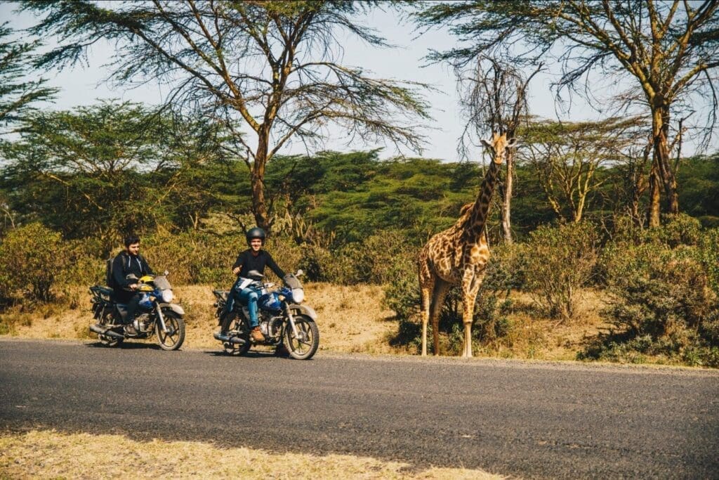 Twee reizigers rijden op een motor op een verharde weg langs een staande giraffe langs de kant van de weg in Afrika, met groene struiken en hoge bomen op de achtergrond op een zonnige dag.