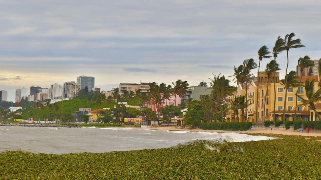 Maputo Special Reserve