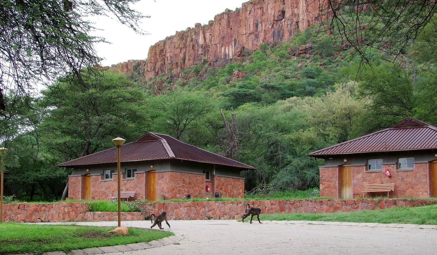 Twee stenen hutten met bruine daken staan bij een stenen muur, omringd door groene bomen. Op de achtergrond rijst een rotsachtige klif op. Twee bavianen lopen op het geplaveide gedeelte voor de hutten.