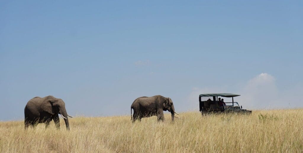 Masai Mara National Park