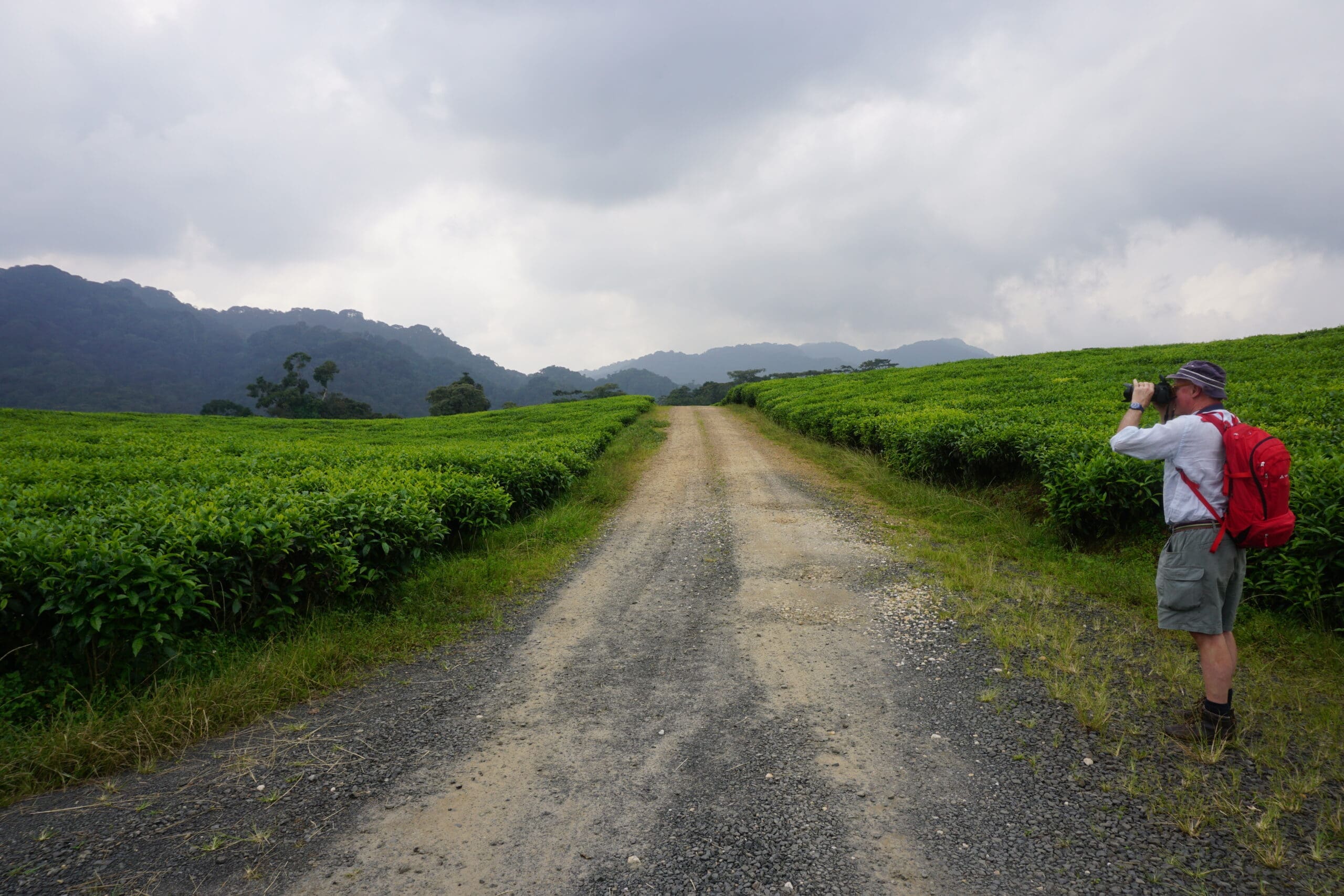 A person with a red backpack stands on the edge of a dirt road through lush green fields, taking a photo. Hills and cloudy skies are in the background.
