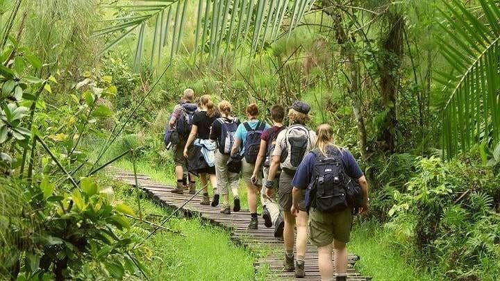 A group of hikers with backpacks walks in single file along a narrow wooden path surrounded by lush, green tropical vegetation, capturing the spirit of travelling through Uganda’s vibrant landscapes.