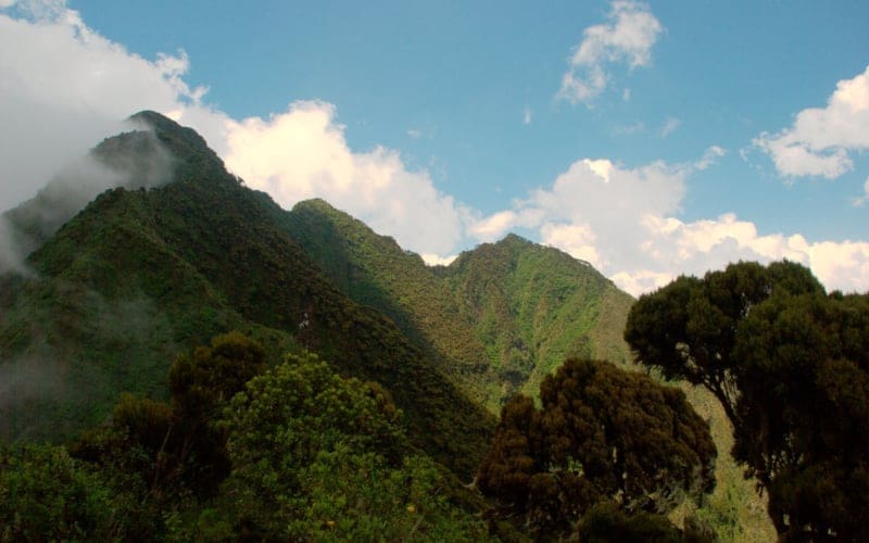 Lush green mountains covered in dense vegetation rise against a bright blue sky with scattered clouds. Trees and shrubs are visible in the foreground.