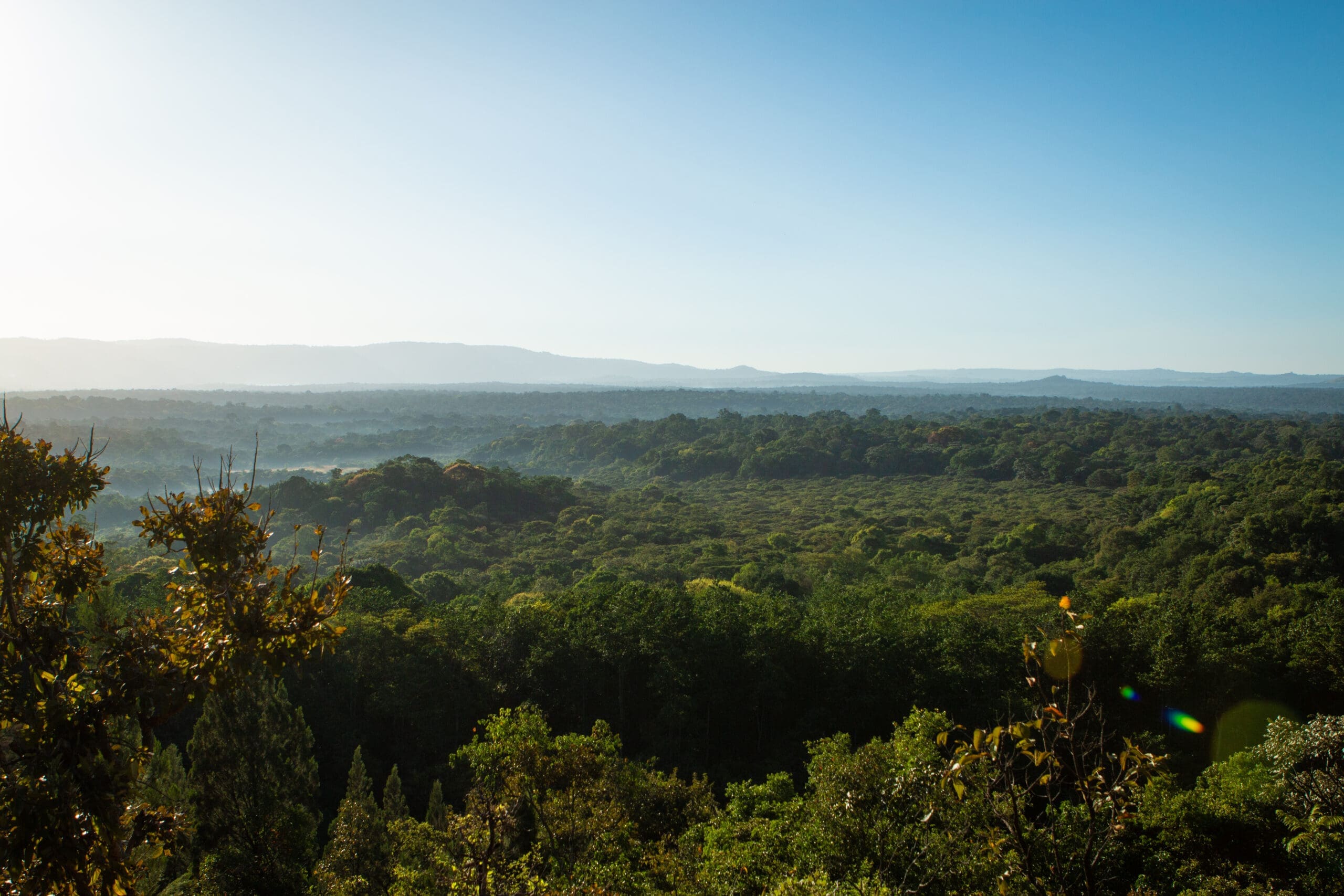 uitgestrekt uitzicht op het groene regenwoud in kenia met heuvels aan de horizon