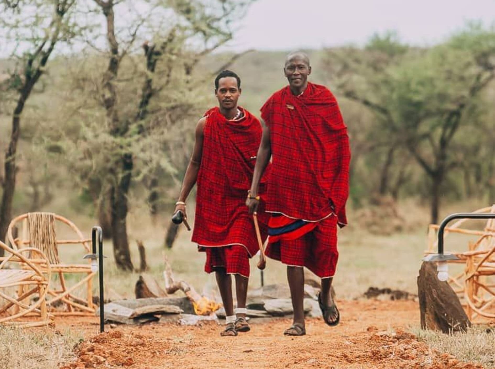 twee masai mannen in rode shuka's lopen richting kampvuur in bosrijk gebied van kenia