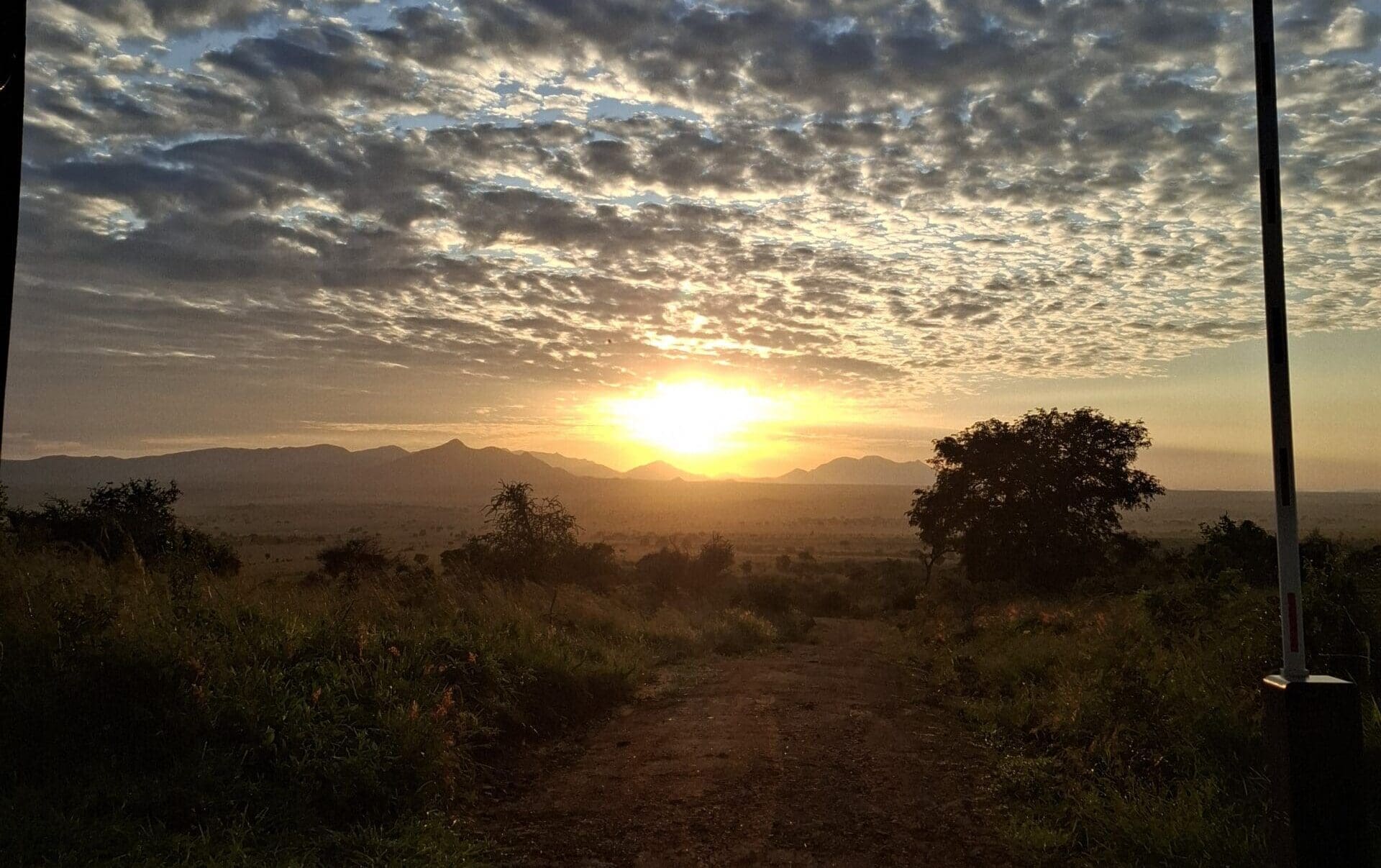 Zonsopgang boven een graslandschap in Oeganda, met een zandpad dat reizigers uitnodigt langs verspreide bomen en bergen in de verte onder een wolkenlucht. Het zonlicht creëert een warme, gouden gloed in deze prachtige hoek van Afrika.