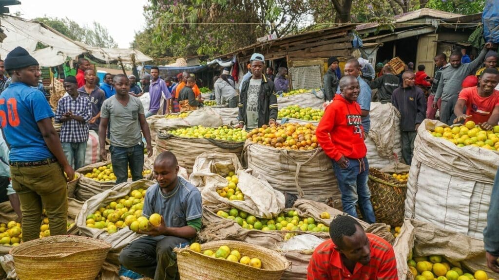 Een drukke openluchtmarkt met veel mensen die grote manden citrusvruchten verkopen en kopen. Verkopers en klanten staan tussen stapels sinaasappels en citroenen, onder houten afdaken en dekzeilen. De sfeer is levendig en druk.