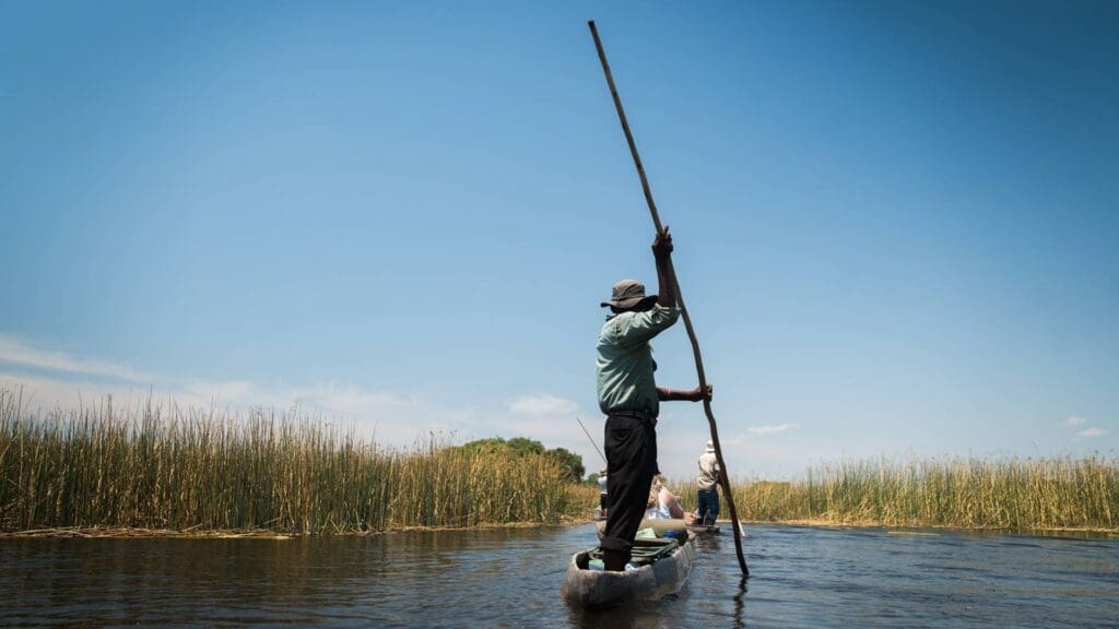 Een persoon staat en vaart een smalle kano met een lange stok door kalm water omgeven door hoog riet onder een strakblauwe hemel. Een andere kano met mensen ligt voor ons.