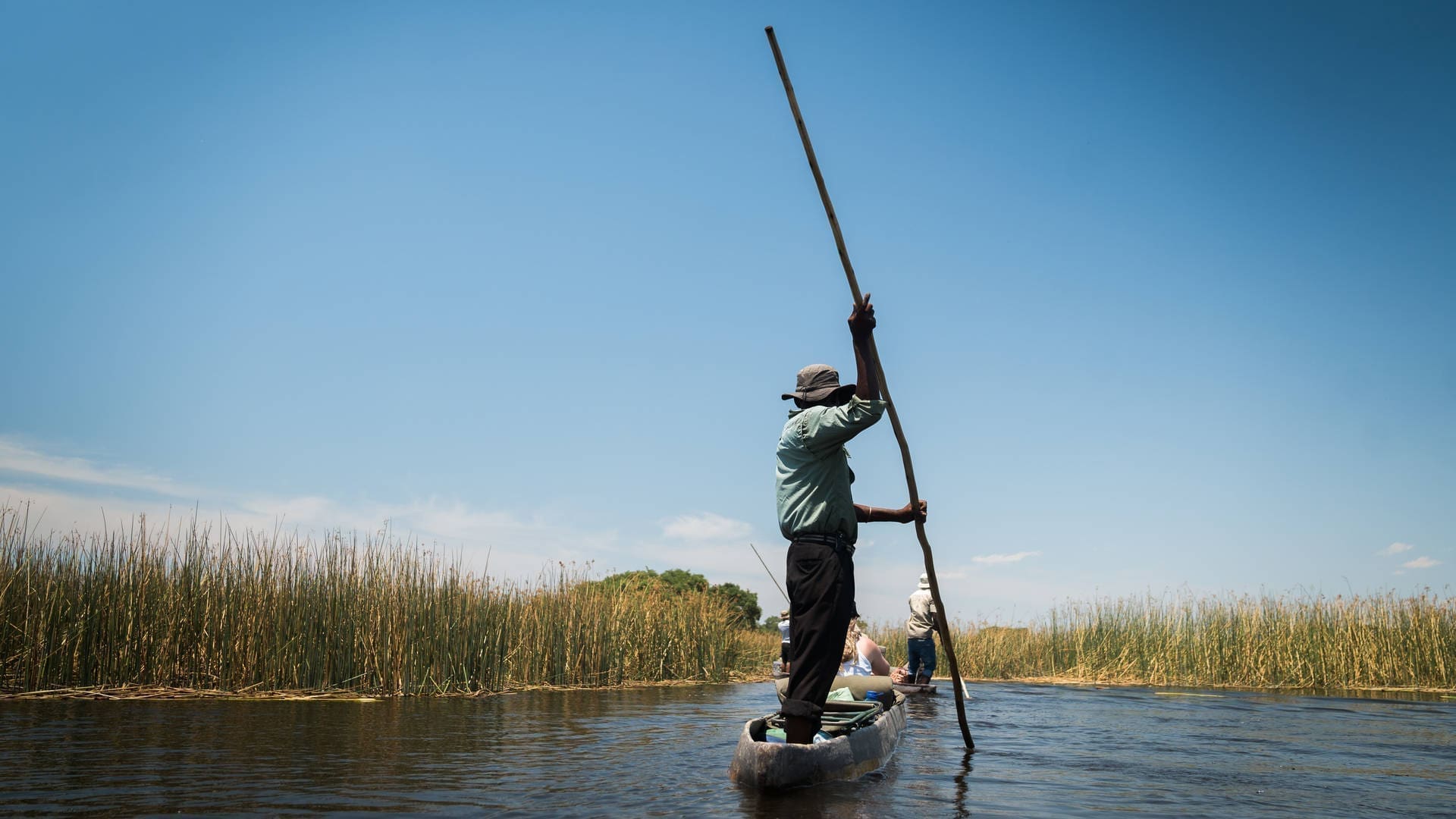 Een persoon staat en vaart een smalle kano met een lange stok door kalm water omgeven door hoog riet onder een strakblauwe hemel. Een andere kano met mensen ligt voor ons.