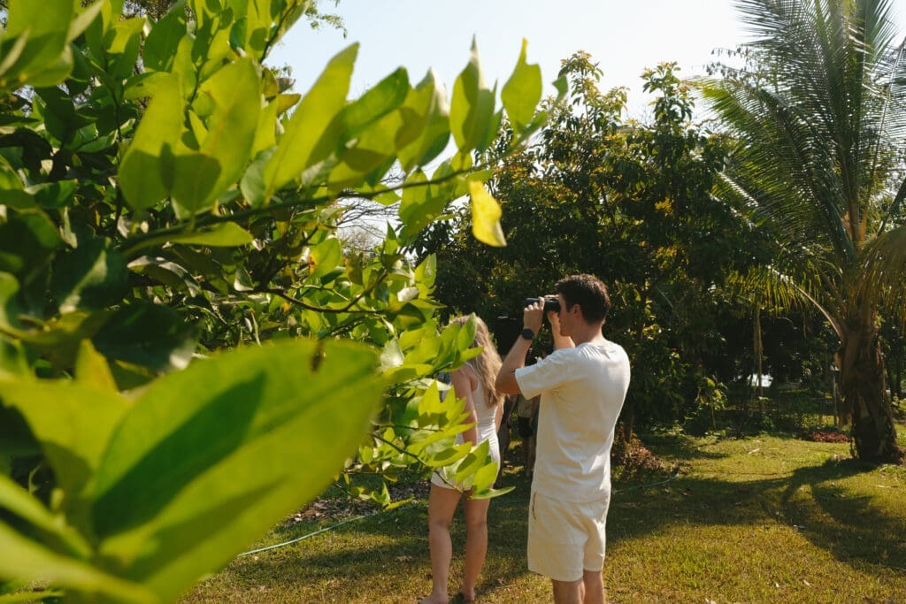 Een man in lichte kleding gebruikt een verrekijker terwijl hij buiten tussen groene bomen en planten staat. Een vrouw staat naast hem, gedeeltelijk verborgen door bladeren op de voorgrond. De scène is zonnig en weelderig.