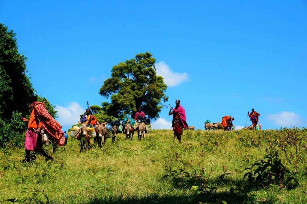 Een groep mensen in kleurrijke kleding loopt en rijdt op ezels op een met gras begroeide heuvel onder een helderblauwe hemel, met een grote boom op de achtergrond.
