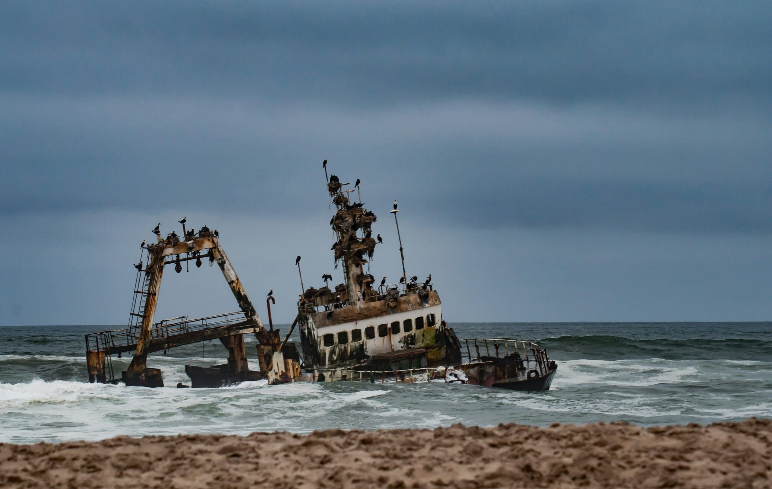 Een verroest, gedeeltelijk gezonken scheepswrak ligt in woelig oceaanwater vlak bij de kust onder een bewolkte hemel, met zeevogels die op de overblijfselen neerstrijken.