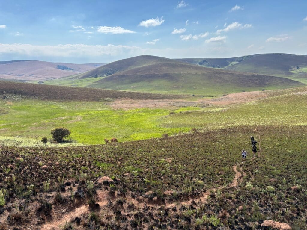 Een wandelaar en een hond lopen over een smal zandpad door met gras begroeide heuvels onder een helderblauwe hemel met verspreide wolken. Het glooiende landschap is groen en bruin, met heuvels in de verte die zich uitstrekken tot aan de horizon.