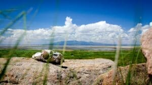 Lake Manyara Een close-up van een witte rots op een groot rotsblok, met hoog gras op de voorgrond. In de verte zie je groene velden, water, bergen en een blauwe lucht met witte wolken.