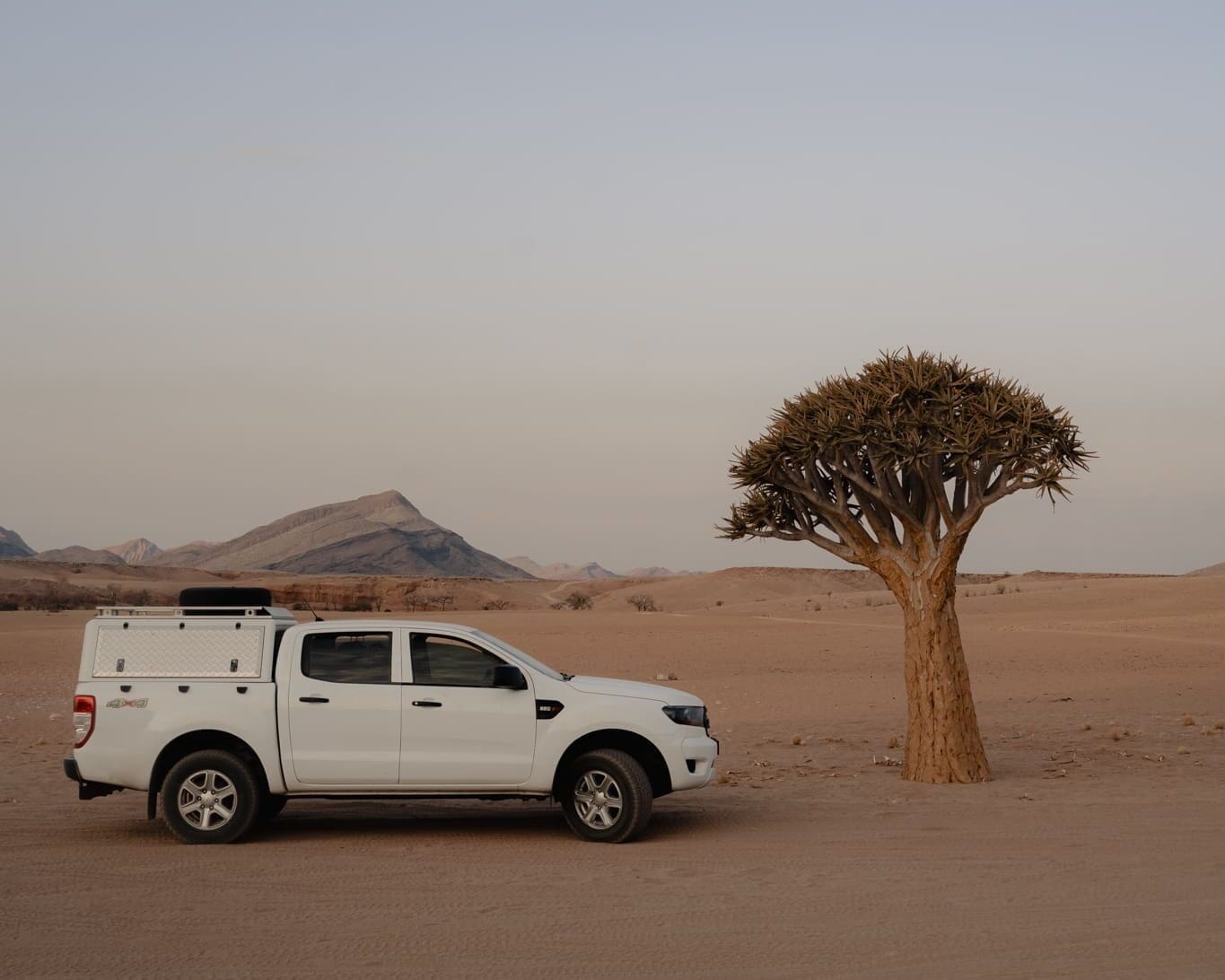 Een witte pick-up truck staat geparkeerd in een uitgestrekte zandwoestijn bij een eenzame boom, met bergen in de verte zichtbaar onder een heldere hemel.