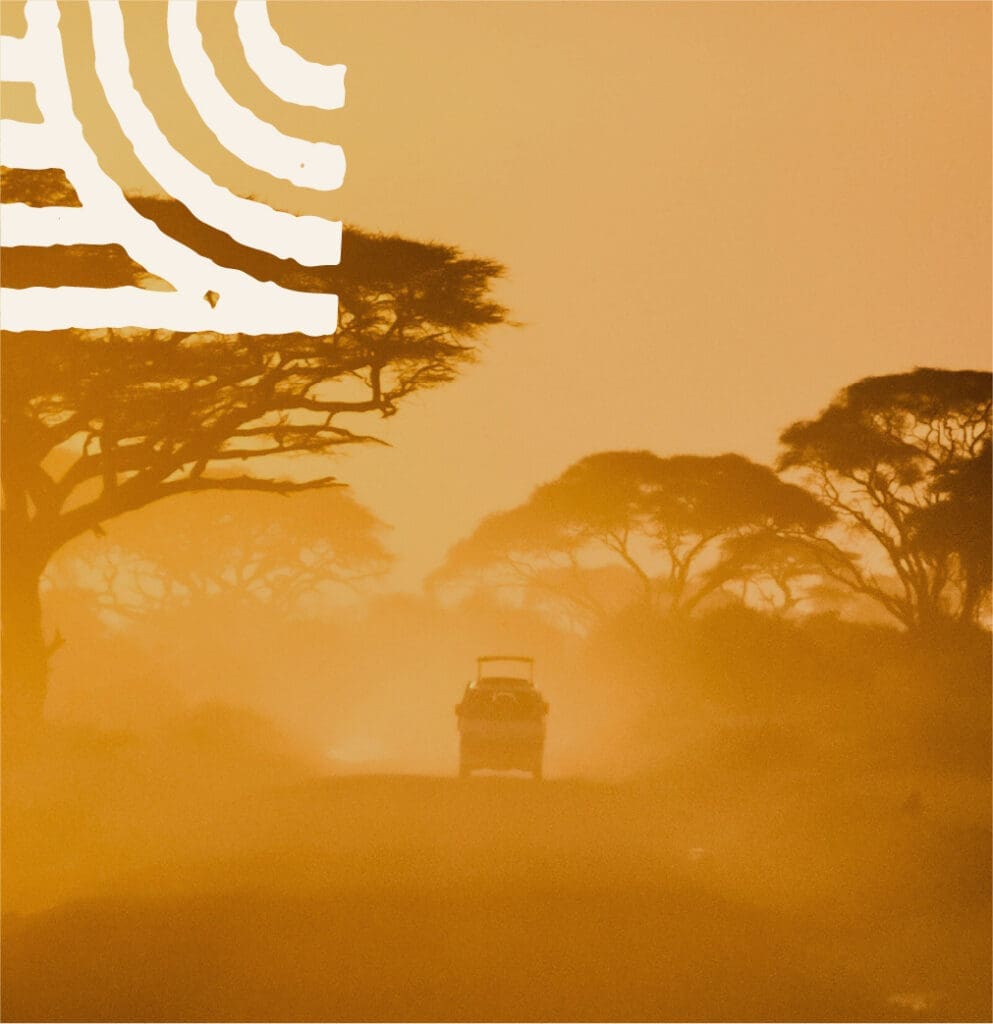 Een voertuig rijdt over een stoffige weg omringd door hoge acaciabomen bij zonsondergang, met een oranje-gele waas die de scène vult en een vet wit wervelontwerp in de linkerbovenhoek.