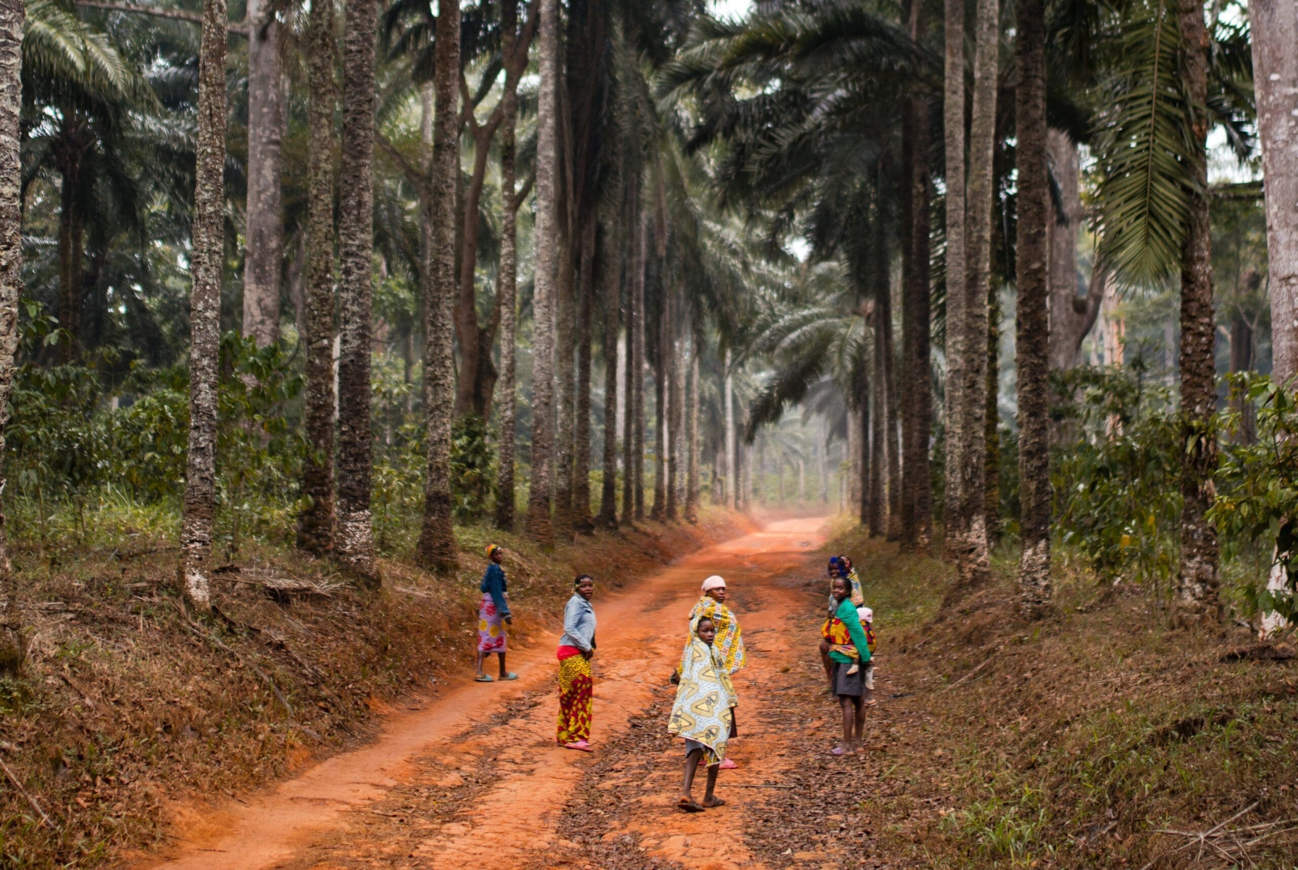 Een groep mensen loopt over een rood zandpad met hoge palmbomen, omringd door weelderig groen in een tropisch bos. De lucht is niet zichtbaar en de scène voelt warm en natuurlijk aan.